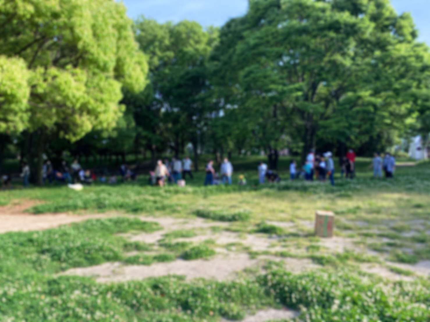 近くの公園でゲーム大会。