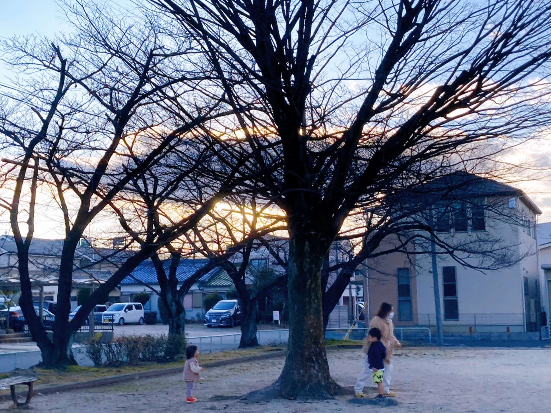 名古屋市西区の放課後等デイサービスと生活介護事業所クレモナ　公園での楽しみ方