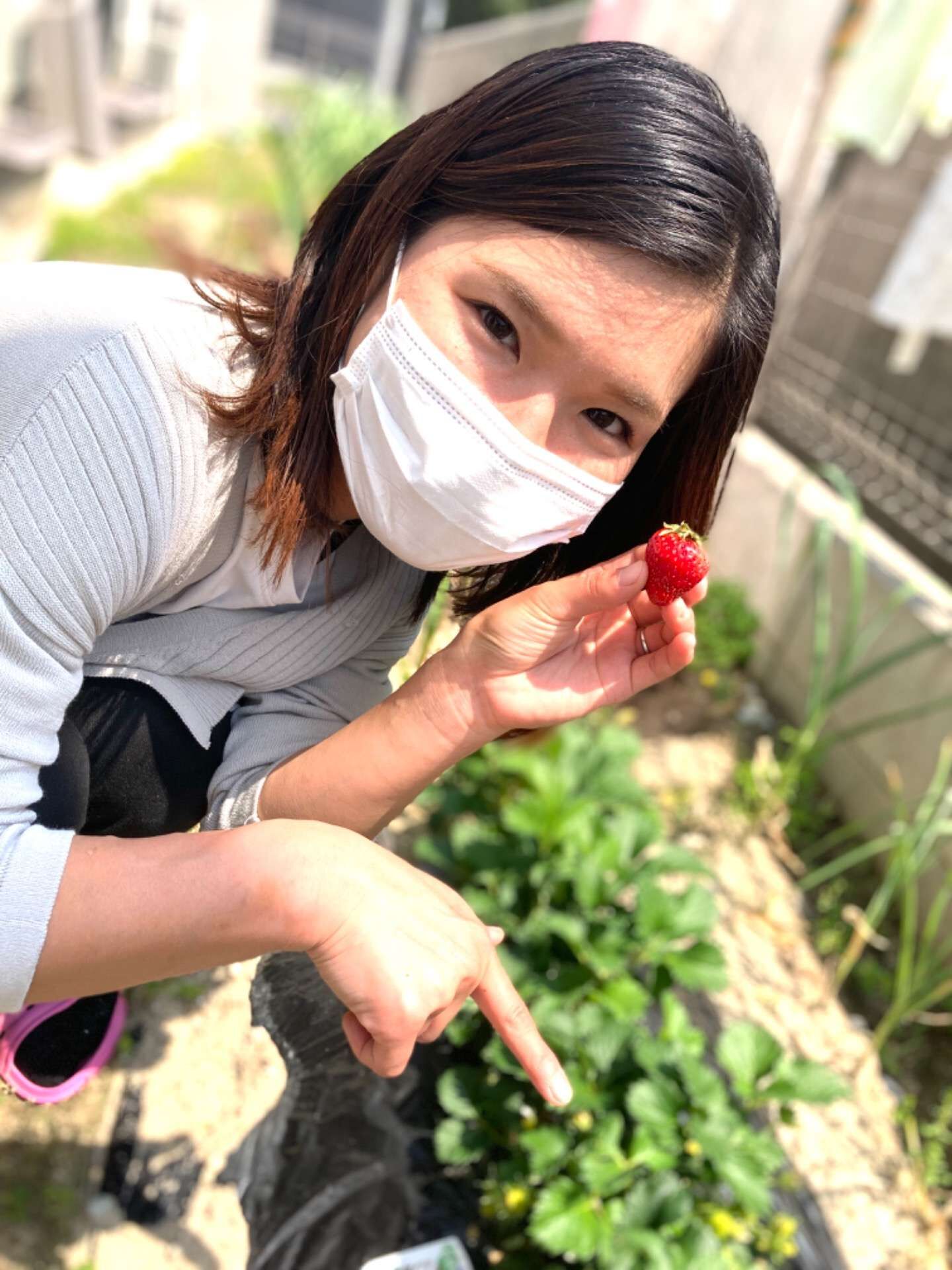 名古屋市西区の放課後等デイサービスと生活介護事業所クレモナ　念願の収穫！