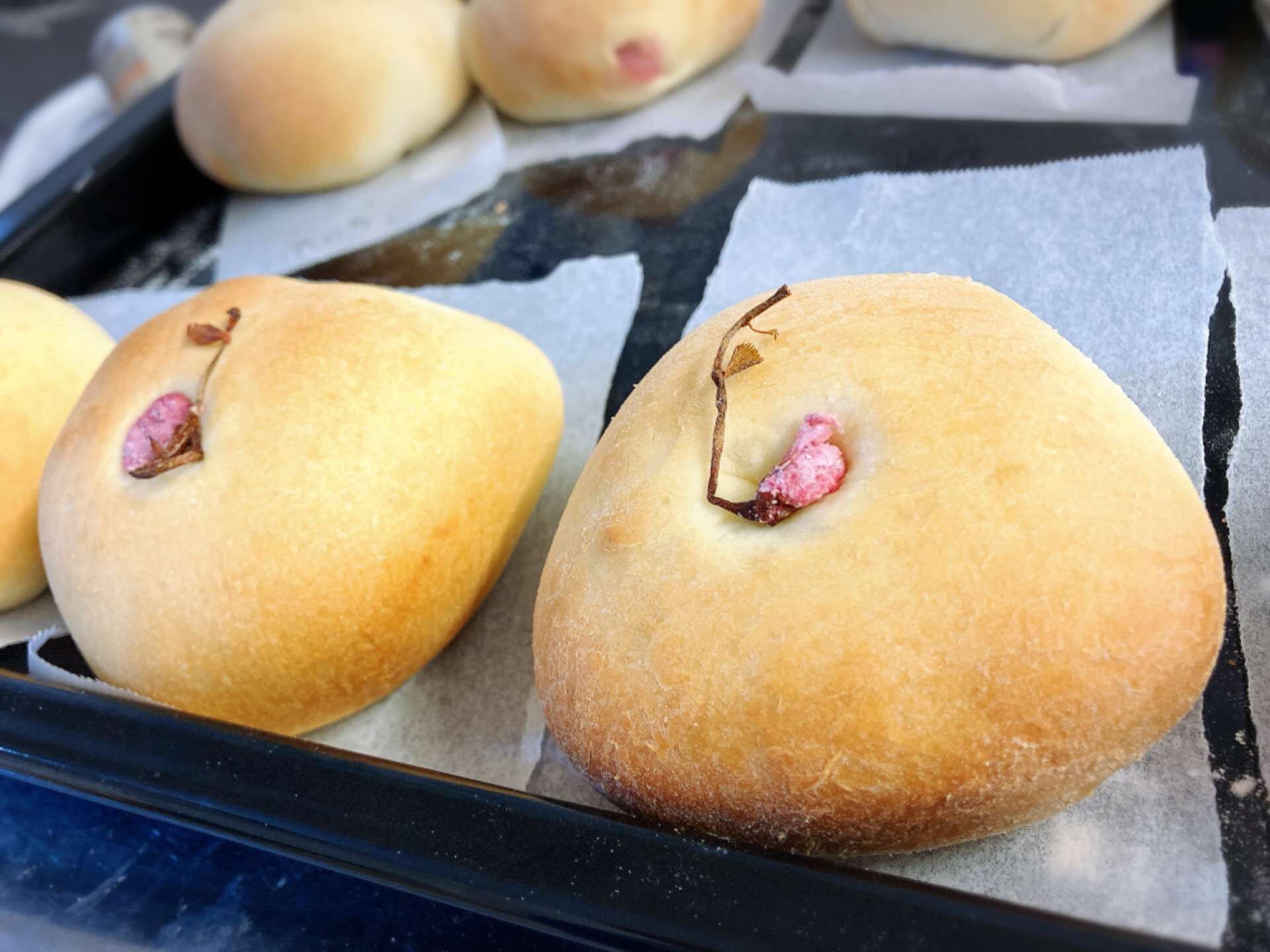 名古屋市西区の放課後等デイサービスと生活介護事業所クレモナ　季節を感じて